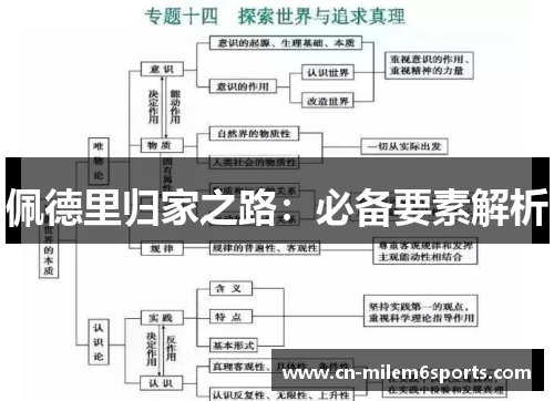 佩德里归家之路：必备要素解析