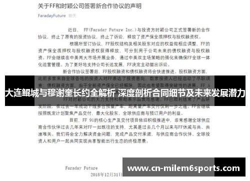 大连鲲城与穆谢奎长约全解析 深度剖析合同细节及未来发展潜力