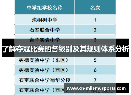 了解夺冠比赛的各级别及其规则体系分析