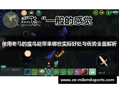 使用老马的魔鸟能带来哪些实际好处与优势全面解析